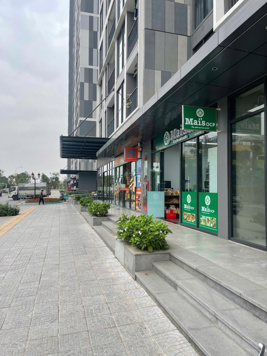 Chính chủ cho thuê chân đế P1 S24, sát căn góc ngay mặt đường chính, giá siêu tốt