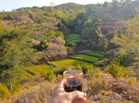 Cần bán lô đất tâm huyết ra ngã ba Hàm Rồng 2km, view ruộng phù hợp nghỉ dưỡng, đất TP Pleiku