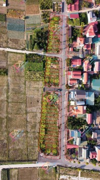 Bán đấu giá X9 Cán Khê Nguyên Khê Đông Anh sát trục đường QH 40m