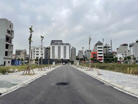 Bán đất đấu giá X1 Uy Nỗ Đông Anh – Khu 3 Ha vườn đào kinh doanh