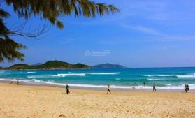 Mini homestay Bình Tiên - 5 phòng riêng biệt cần chủ new!