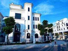 Cập nhật quỹ 100 căn biệt thự và shophouse giá tốt nhất Vinhomes Ocean Park 0917 777 429