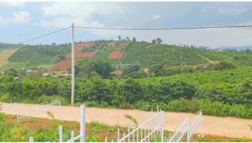 Bán lô đất ven Đà Lạt cách đường nhựa 50m