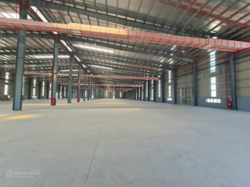 Nhà xưởng sản xuất. Tiếp nhận nhiều ngành nghề. Diện tích xưởng đa dạng