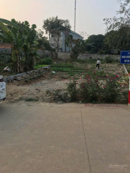 Bán đất 388m2 có 100m thổ cư cạnh khu Danko, khu dân cư An Thái