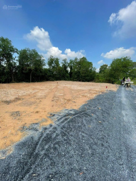 Bán đất thổ cư tại Phú Đông, Nhơn Trạch, Đồng Nai giá 13 triệu/m2, diện tích 200m2