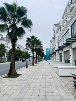 Cho thuê shophouse trục chính Hải Âu 2 hoàn thiện cơ bản để ở + kinh doanh văn phòng chỉ 17tr/th