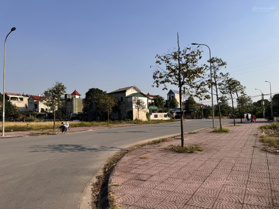 Bán gấp 1 lô mặt đường 29m giá 850tr full thuế phí ra bìa rẻ nhất thị trường