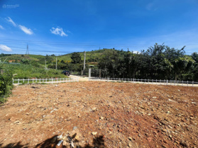 Bán đất 2 mặt tiền Đại Lào, Bảo Lộc. Cách QL20 chỉ 900m