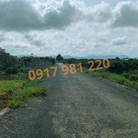 BÁN ĐẤT THỔ CƯ, SỔ SẴN TẠI THÔN TỨ QUÝ, LỘC AN, BẢO LÂM, LÂM ĐỒNG 2,4 TỶ