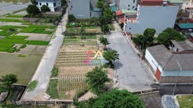 Bán đất đấu giá X3 Đào Thục, Thụy Lâm, Đông Anh 