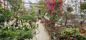 MẶT PHỐ QUANG TRUNG HÀ ĐÔNG – NHÀ ĐẸP, VỈA HÈ RỘNG – KINH DOANH SIÊU LỢI NHUẬN – CHỈ 17.5 TỶ!