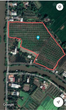 Bán vườn sầu riêng Cái Bè, Tiền Giang 6 năm tuổi thu hoạch vào đầu tháng 12, DT 8500 và 14000m2