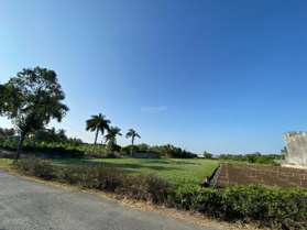 Bán nhanh đất HL15, ấp Long Bình, Yên Luông, Gò Công Tây, cách chợ Gò Công 4km