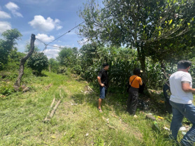 Bán vườn cà phê đất sào tại Ninh Gia, Đức Trọng, Lâm Đồng - Quy hoạch full ONT giá 300 tr/ sào