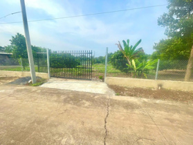 Bán nhà vườn trái cây gần KCN Bàu Xéo xã Sông Trầu, Trảng Bom Đồng Nai