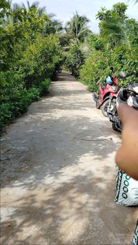 Bán nhà cấp 4, DT: 400m2 (16x25m) ấp Tân Phong, xã Tân Hội, thị xã Cai Lậy, Tiền Giang