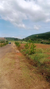 Lô đất giá tốt chỉ 650 triệu/lô, thích hợp đầu tư