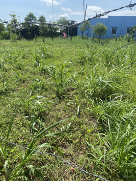 Đất mặt tiền đường Huyện Lộ 05B