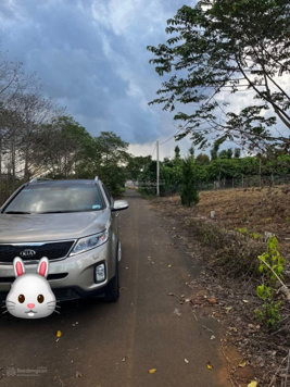 Bán nhanh 132m2 đất sẵn thổ cư Đức Thanh, Lộc Đức