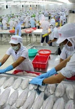 Bán xưởng 18.259m2 công ty thủy sản tại Tiền Giang