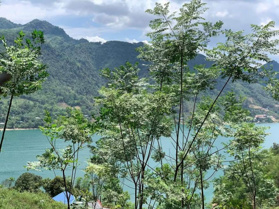 Bán 5ha đất view hồ có đất RSX, CLN, 300ont Đà Bắc - Hòa Bình