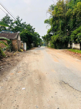 Bán đất xã Đại Đình, Tam Đảo, Vĩnh Phúc, 1,2 tỷ, 265 m2