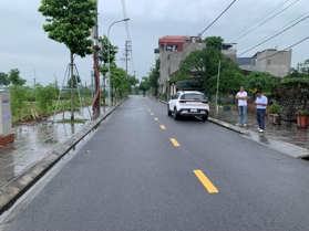 Bán đất đấu giá X1 thôn Lê Xá, xã Mai Lâm, huyện Đông Anh, thành phố Hà Nội