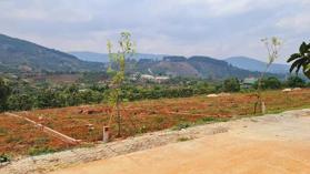 Đất cá nhân chính chủ TT Nam Ban - Lâm Hà view đỉnh đồi cực đẹp