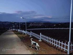 Chuyển nơi ở ra nhanh lô đất 250m2 thổ cư tại xã Nam Hà