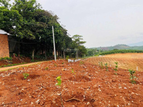 Ra nhanh lô đất ngộp gần 300m2 sẵn 150m2 thổ cư, đường ra hơi ra vào thoải mái tại Nam Hà