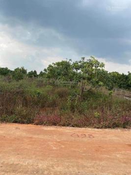 Cần tiền trả nợ bán 524m2 có sổ riêng giá siêu tốt tại Lâm Đồng