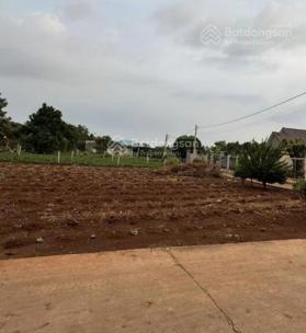 Cơ hội sở hữu đất giá tốt tại thị trấn Đất Đỏ, Bà Rịa Vũng Tàu