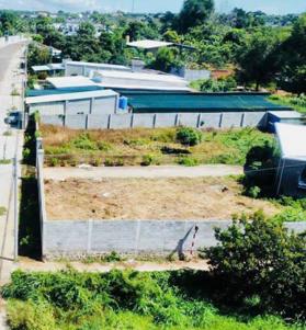 Chủ cần tiền bán mảnh đất 439m2 (12x36m) đường lớn - Thị trấn Đất Đỏ