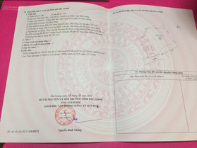 Gia đình có việc chính chủ gửi bán lô đất vườn tại Lục Nam gần 800m2 giá chỉ 490 triệu