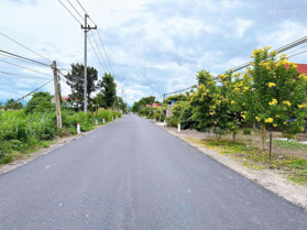 Lô đất vườn Diên Tân - Diên Khánh, QH full thổ cư  siêu rẻ chỉ từ 790k/m2 (443 triệu)