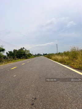 Bán đất tại đường Tỉnh Lộ 765, Xã Long Tân, Đất Đỏ, Bà Rịa Vũng Tàu, giá cực chất 850 triệu, 113m2