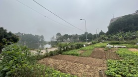 Bán 78.5m2 đất đấu giá Du Ngoại, Mai Lâm, Đông Anh