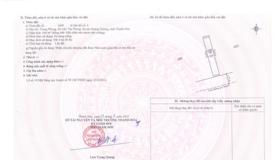 Chính chủ bán lỗ lô biệt thự 320m2. Tân Phong, Quảng Xương