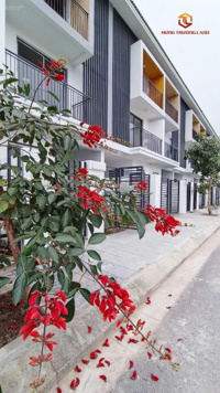 Một căn Belhomes 75m2 duy nhất giá rẻ, LH 0866 666 286