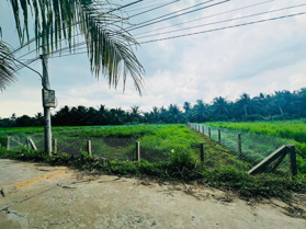 Bán nền đất xây nhà vườn 600m2, mặt đường 3m, giá 1.59 tỷ ấp 4, xã Tam Hiệp, Châu Thành, Tiền Giang