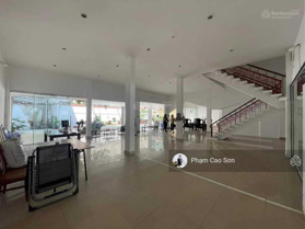 Biệt thự sân vườn gần khu sân bay, hơn 1200m2 - số 2 Tản Viên, Tân Bình