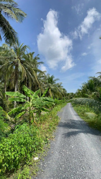 Mặt tiền sông Mê Kông sẵn thổ cư giá rẻ 649triệu, sẵn vườn dừa trên đất