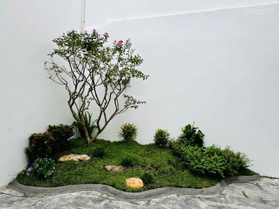 Hạ giá - Bán gấp nhà kiệt Lê Hồng Phong ngay sau lưng mặt tiền. Ngay lõi trung tâm thành phố