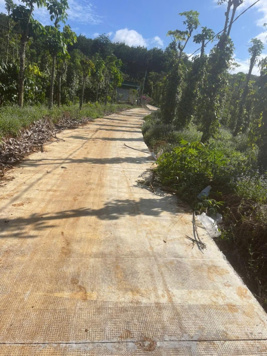 Đất cao su nguồn thu ổn định, suối bao quanh, dự kiến lên thị xã, phù hợp chuyển đổi sầu riêng