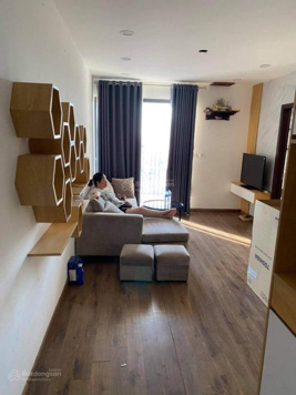 Cần tiền bán gấp căn 55m2 2ng 2vs full nội thất tại chung cư Tân Tây Đô giá 2,5 tỷ sổ đỏ trao tay