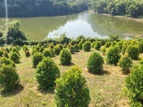 Bán đất xã Thanh Sơn, Lương Sơn, Hòa Bình - DT 900m², 854m² đất ở, đầu tư sinh lời