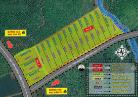 Chính chủ cần bán giảm 60% khu đất nghỉ dưỡng cao cấp bên cạnh thác Đambri - Bảo Lộc. Lời ngay 100%