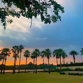 THANG 12 SWANBAY RỔ HÀNG CHUYỂN NHƯỢNG GIÁ TỐT NHẤT, KO QUA TRUNG GIAN. LH 0933 112 292