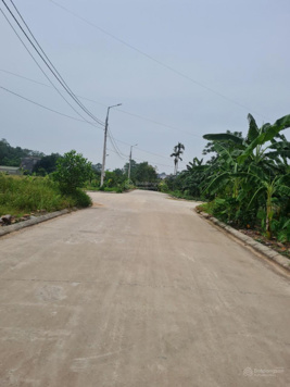 Bán đất đấu giá Ngọc Thiện - Tân Yên - Bắc Giang. 108m2, Mt6m. Đường 20m. Giá 980tr